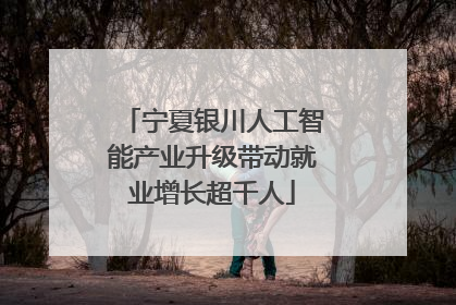 宁夏银川人工智能产业升级带动就业增长超千人