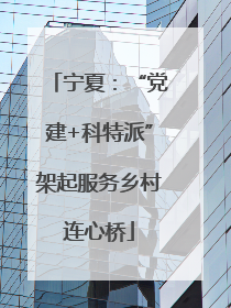 宁夏：“党建+科特派”架起服务乡村连心桥