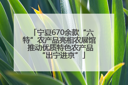 宁夏670余款“六特”农产品亮相农展馆 推动优质特色农产品“出宁进京”