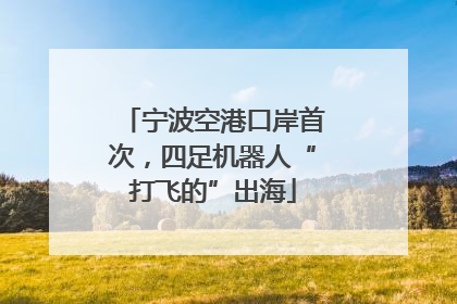 宁波空港口岸首次，四足机器人“打飞的”出海