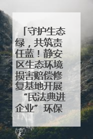 守护生态绿，共筑责任蓝！静安区生态环境损害赔偿修复基地开展“民法典进企业”环保专题活动