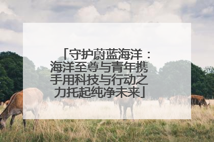 守护蔚蓝海洋：海洋至尊与青年携手用科技与行动之力托起纯净未来