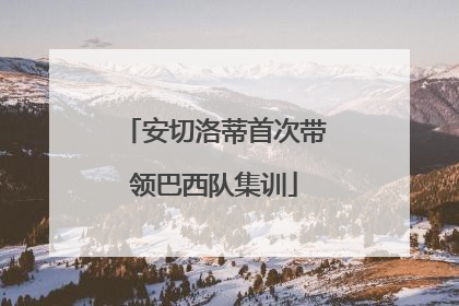 安切洛蒂首次带领巴西队集训