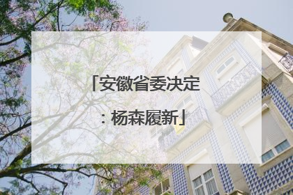 安徽省委决定：杨森履新