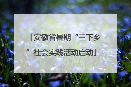 安徽省暑期“三下乡”社会实践活动启动
