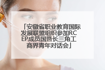 安徽省职业教育国际发展联盟组织参加RCEP成员国暨长三角工商界青年对话会