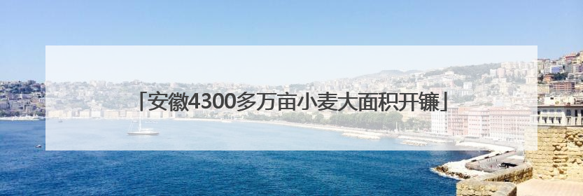 安徽4300多万亩小麦大面积开镰