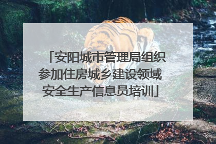 安阳城市管理局组织参加住房城乡建设领域安全生产信息员培训