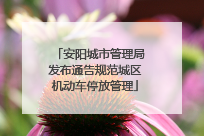 安阳城市管理局发布通告规范城区机动车停放管理