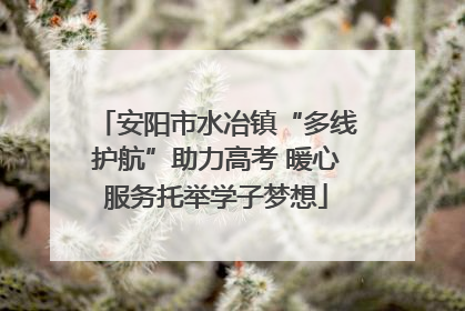 安阳市水冶镇“多线护航”助力高考 暖心服务托举学子梦想