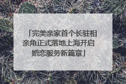 完美亲家首个长驻相亲角正式落地上海开启婚恋服务新篇章