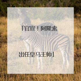 官宣！阿隆索出任皇马主帅