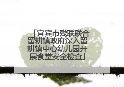 宜宾市残联联合留耕镇政府深入留耕镇中心幼儿园开展食堂安全检查