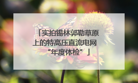实拍锡林郭勒草原上的特高压直流电网“年度体检”