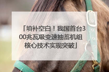 填补空白！我国首台300兆瓦级变速抽蓄机组核心技术实现突破