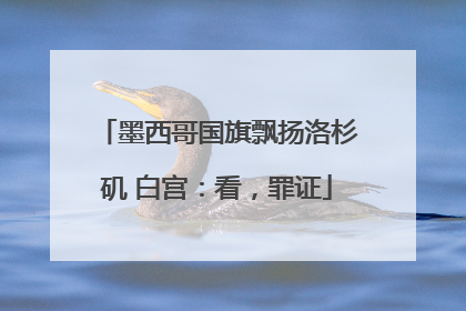 墨西哥国旗飘扬洛杉矶 白宫：看，罪证