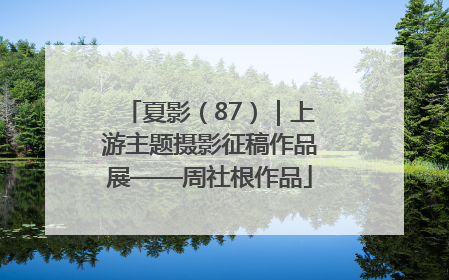 夏影（87）｜上游主题摄影征稿作品展——周社根作品