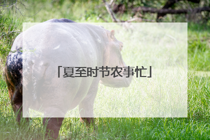 夏至时节农事忙