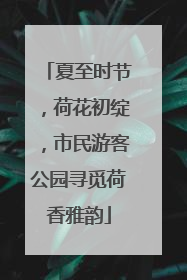 夏至时节，荷花初绽，市民游客公园寻觅荷香雅韵