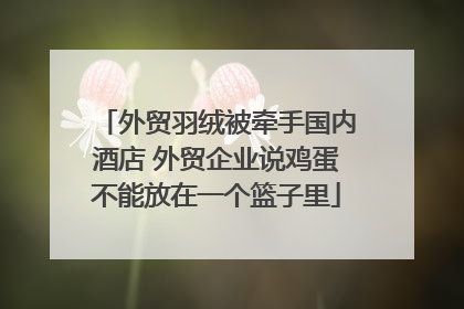 外贸羽绒被牵手国内酒店 外贸企业说鸡蛋不能放在一个篮子里