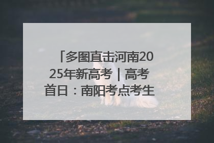 多图直击河南2025年新高考｜高考首日：南阳考点考生信心满满迎战