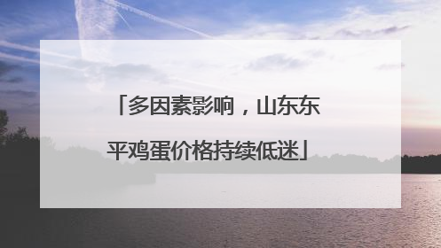 多因素影响，山东东平鸡蛋价格持续低迷