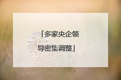 多家央企领导密集调整