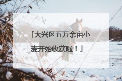 大兴区五万余亩小麦开始收获啦！