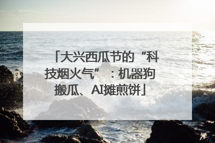 大兴西瓜节的“科技烟火气”：机器狗搬瓜、AI摊煎饼