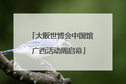 大阪世博会中国馆广西活动周启幕