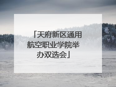 天府新区通用航空职业学院举办双选会