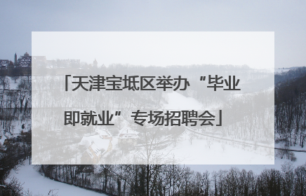 天津宝坻区举办“毕业即就业”专场招聘会