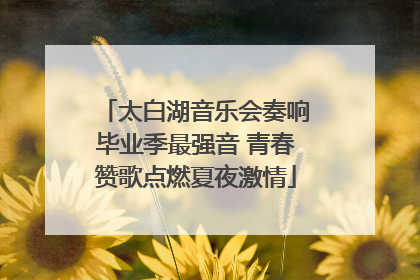 太白湖音乐会奏响毕业季最强音 青春赞歌点燃夏夜激情