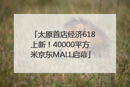 太原首店经济618上新！40000平方米京东MALL启幕