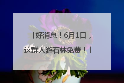好消息！6月1日，这群人游石林免费！