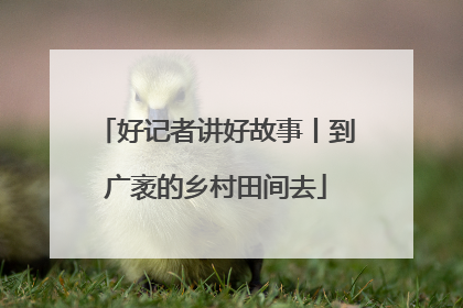 好记者讲好故事丨到广袤的乡村田间去