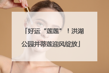 好运“莲莲”！洪湖公园并蒂莲迎风绽放