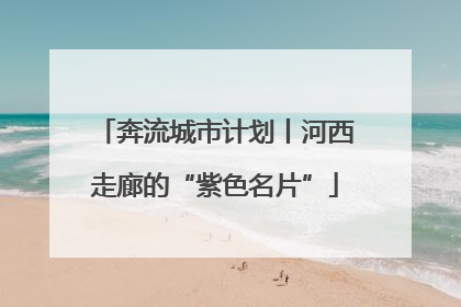 奔流城市计划丨河西走廊的“紫色名片”