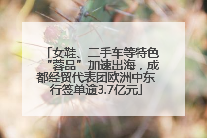 女鞋、二手车等特色“蓉品”加速出海，成都经贸代表团欧洲中东行签单逾3.7亿元