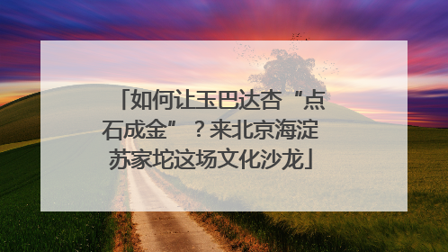 如何让玉巴达杏“点石成金”？来北京海淀苏家坨这场文化沙龙