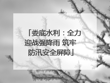 娄底水利：全力迎战强降雨 筑牢防汛安全屏障