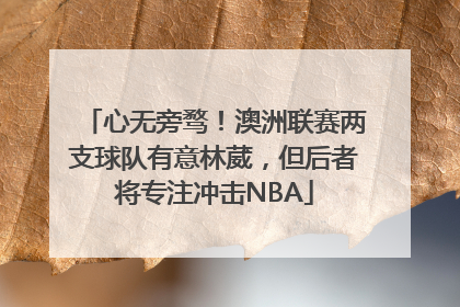 心无旁骛！澳洲联赛两支球队有意林葳，但后者将专注冲击NBA