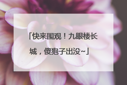 快来围观！九眼楼长城，傻狍子出没~