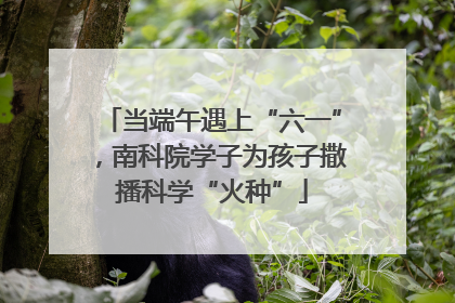 当端午遇上“六一”，南科院学子为孩子撒播科学“火种”