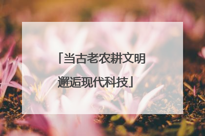 当古老农耕文明邂逅现代科技