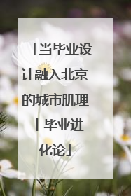 当毕业设计融入北京的城市肌理 丨毕业进化论