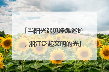 当阳光遇见净滩巡护，湘江泛起文明的光