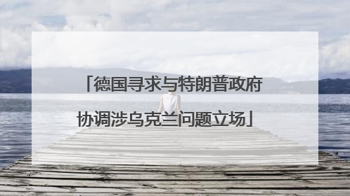 德国寻求与特朗普政府协调涉乌克兰问题立场