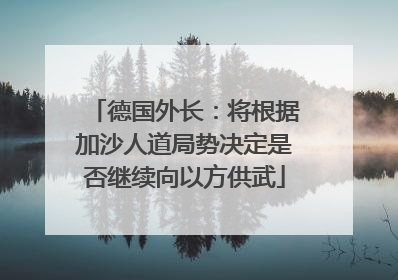 德国外长：将根据加沙人道局势决定是否继续向以方供武
