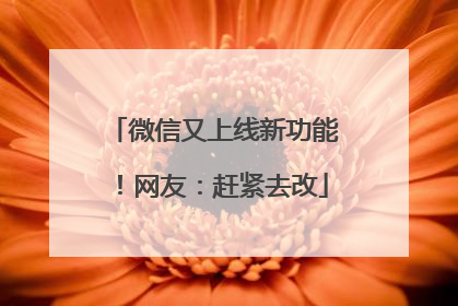 微信又上线新功能！网友：赶紧去改